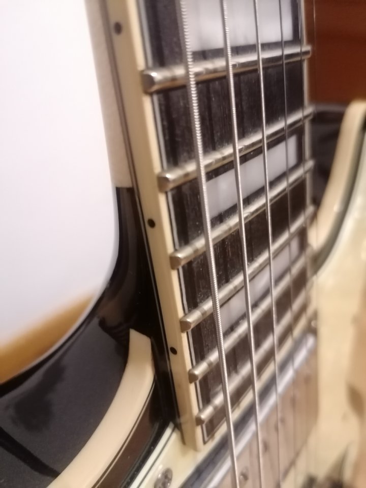 Dangelico brighton premier ( cambios )