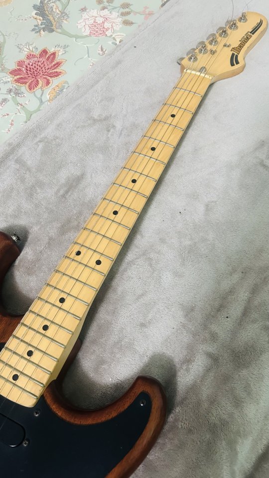 Ibanez Blazer BL-300 (1981) - Made in Japan (FujiGen) - Walnut