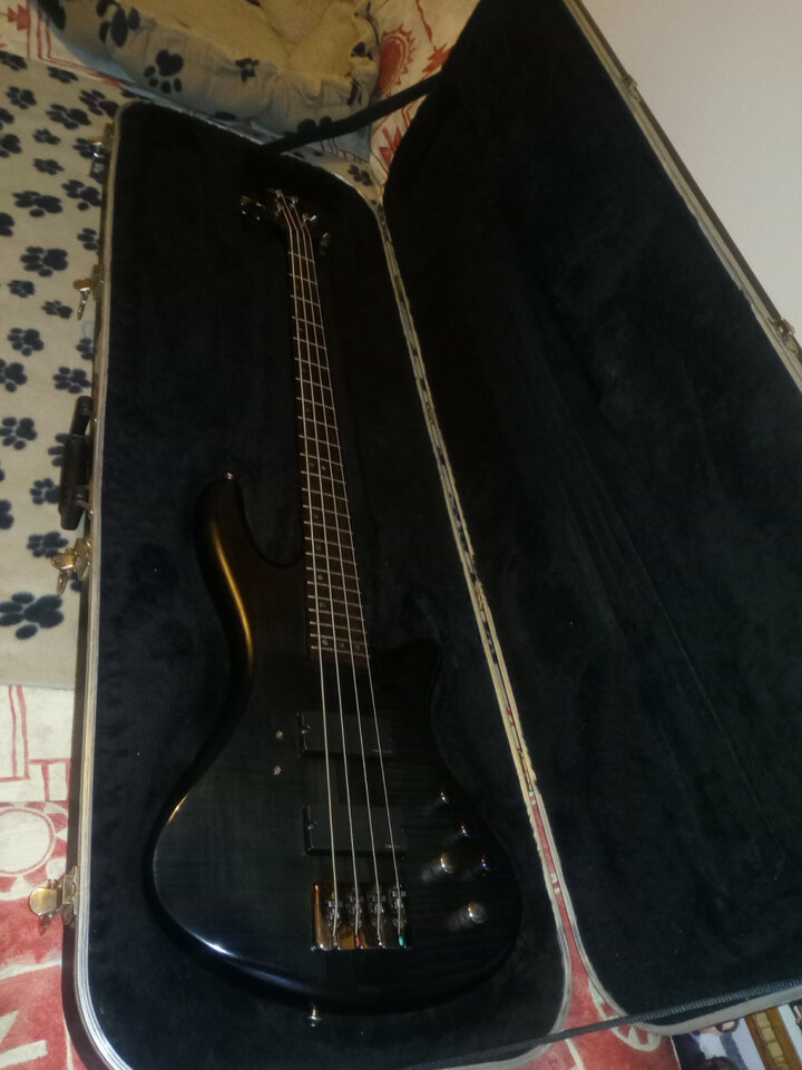 Bajo Schecter Stiletto Studio 4