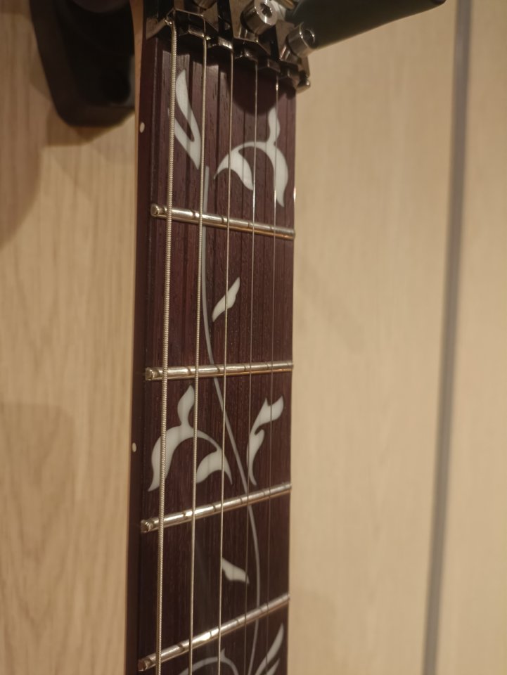 Vendo o cambio Ibanez JEM Jr mejorada y única