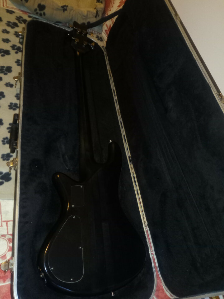 Bajo Schecter Stiletto Studio 4