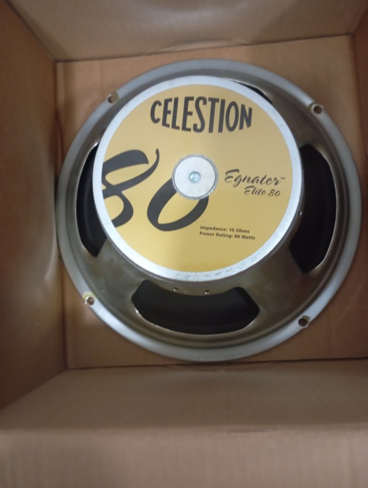 Pantalla Palmer 1x12 + Celestion Elite
