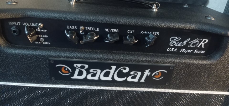Bad Cat Cub 15r de segunda mano · Foto 4 de 4 · A Coruña · 1100 €