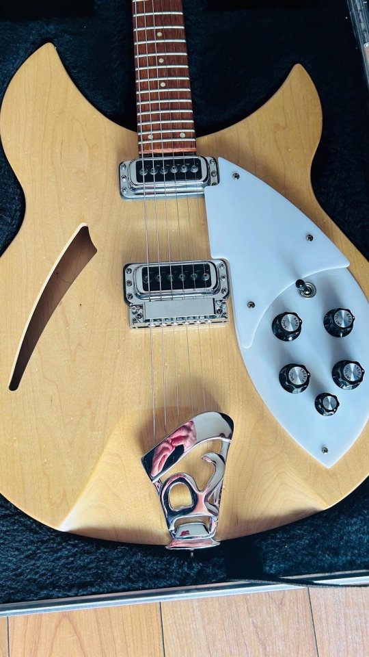Rickenbacker 330 de segunda mano · Foto 1 de 7 · Murcia