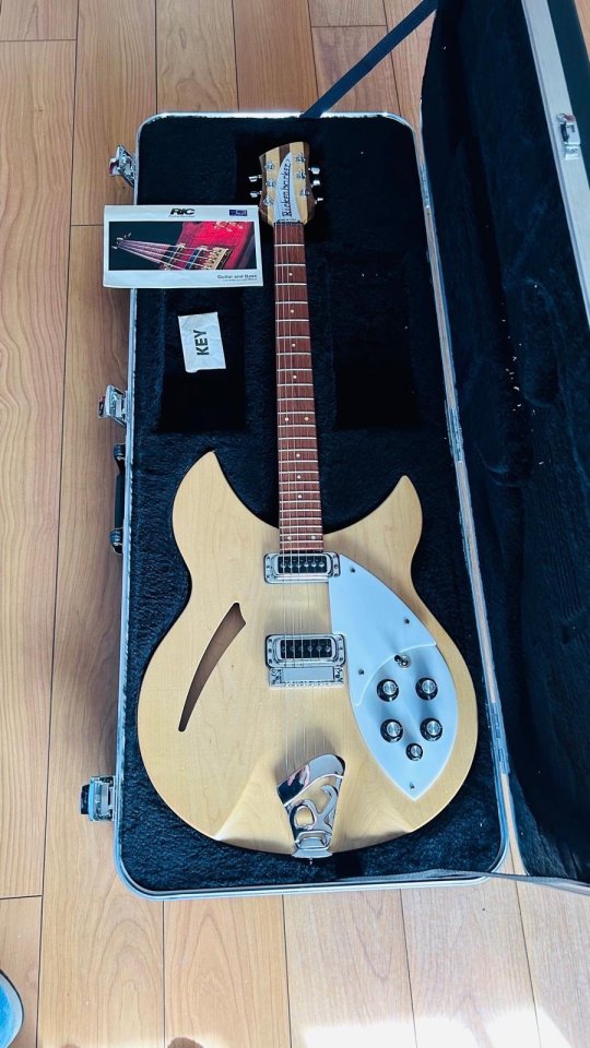 Rickenbacker 330 de segunda mano · Foto 2 de 7 · Murcia