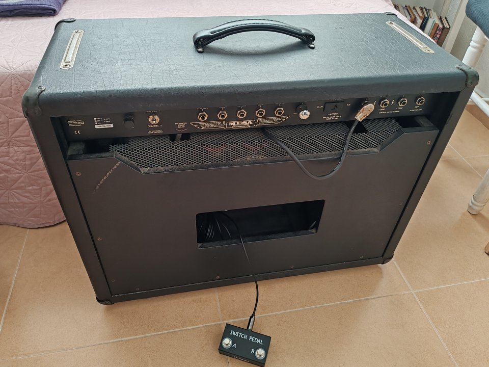 Mesa/Boogie Rect-O-Verb 50