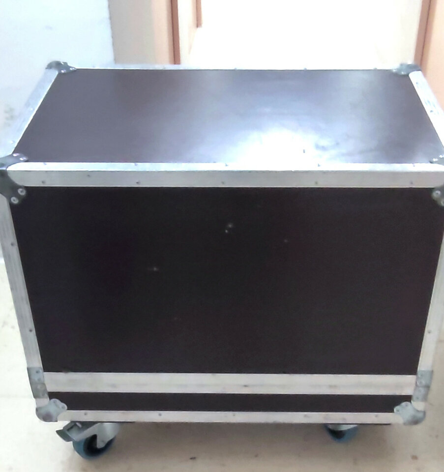 Marshall JVM con fly case y bafle