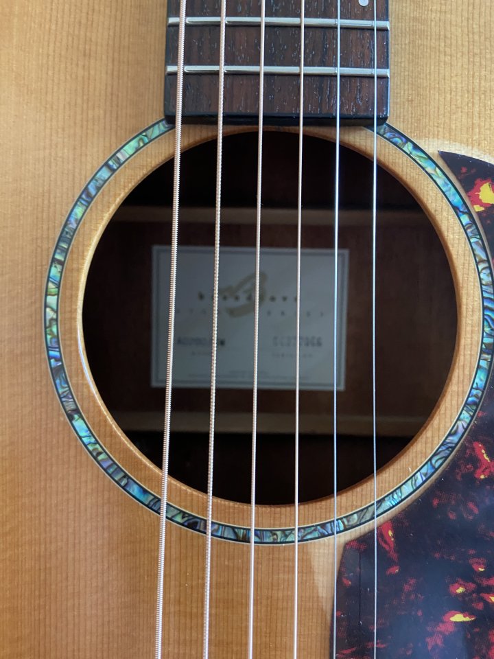 Breedlove AD200/SM (spruce/mahogany) también vendo