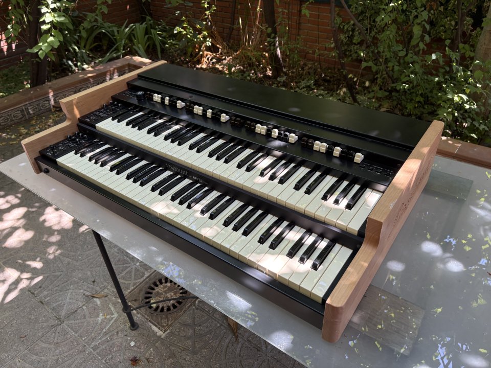 Viscount Legend Live + flightcase a medida de segunda mano · Foto 1 de 4 · Madrid · 1900 €