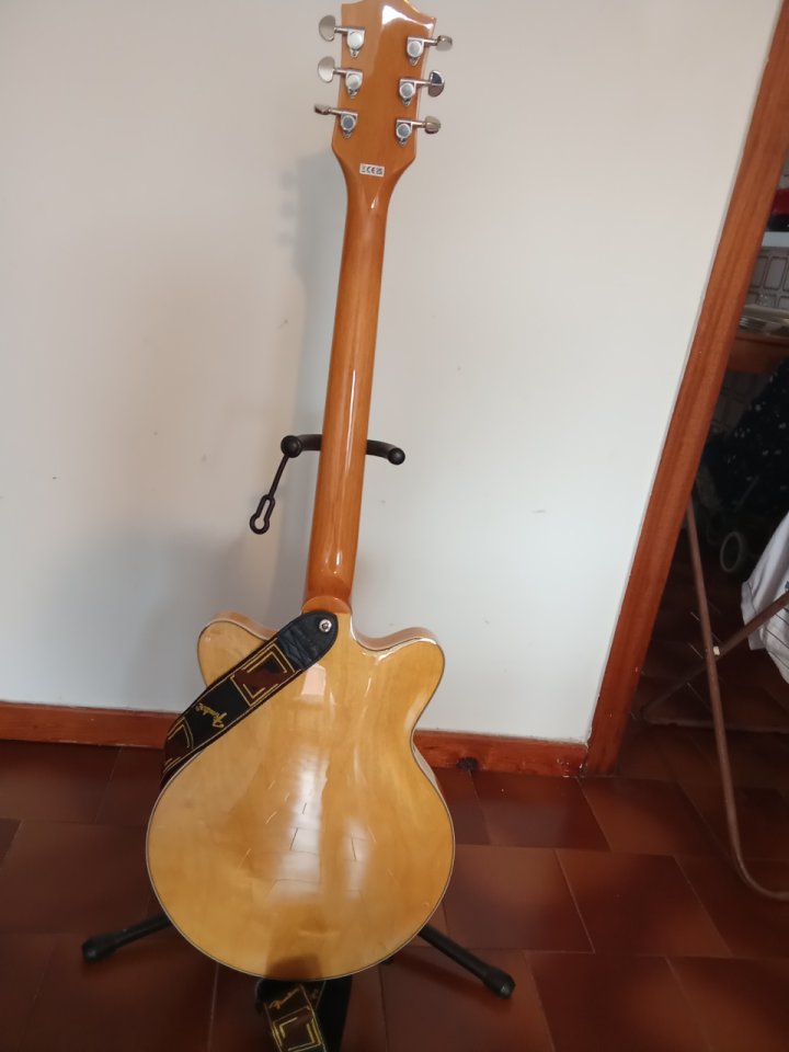 Gretsch g2655 de segunda mano · Foto 2 de 6 · Zaragoza · 380 €
