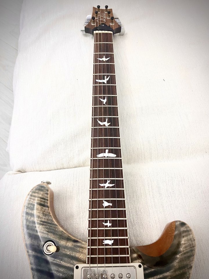 PRS McCarty Wood Library Ltd Edition Top 10