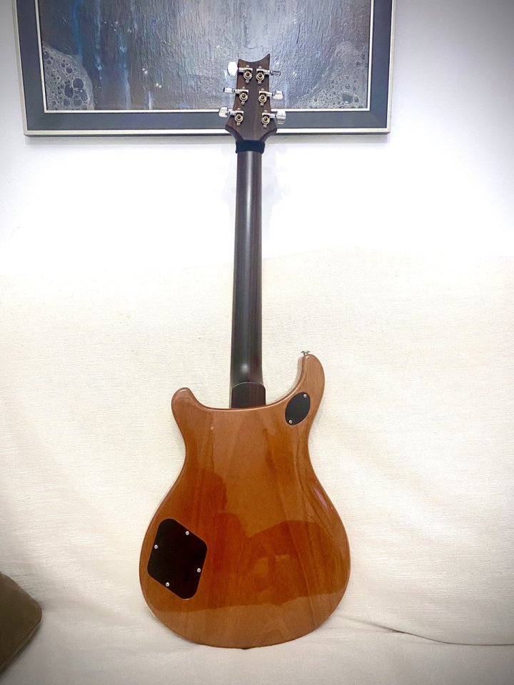 PRS McCarty Wood Library Ltd Edition Top 10