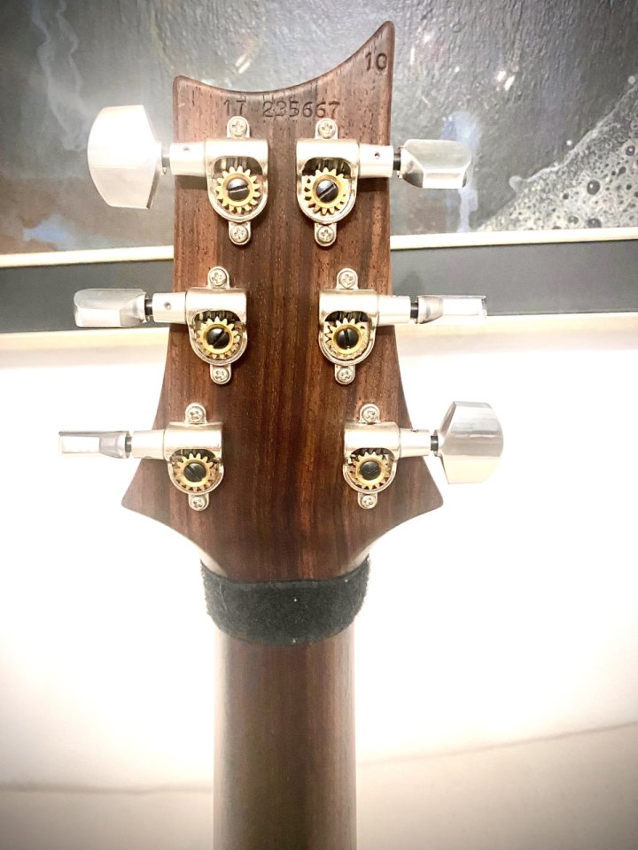 PRS McCarty Wood Library Ltd Edition Top 10