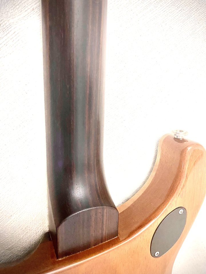 PRS McCarty Wood Library Ltd Edition Top 10