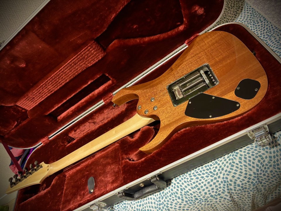 Ibanez Rg3120 Prestige