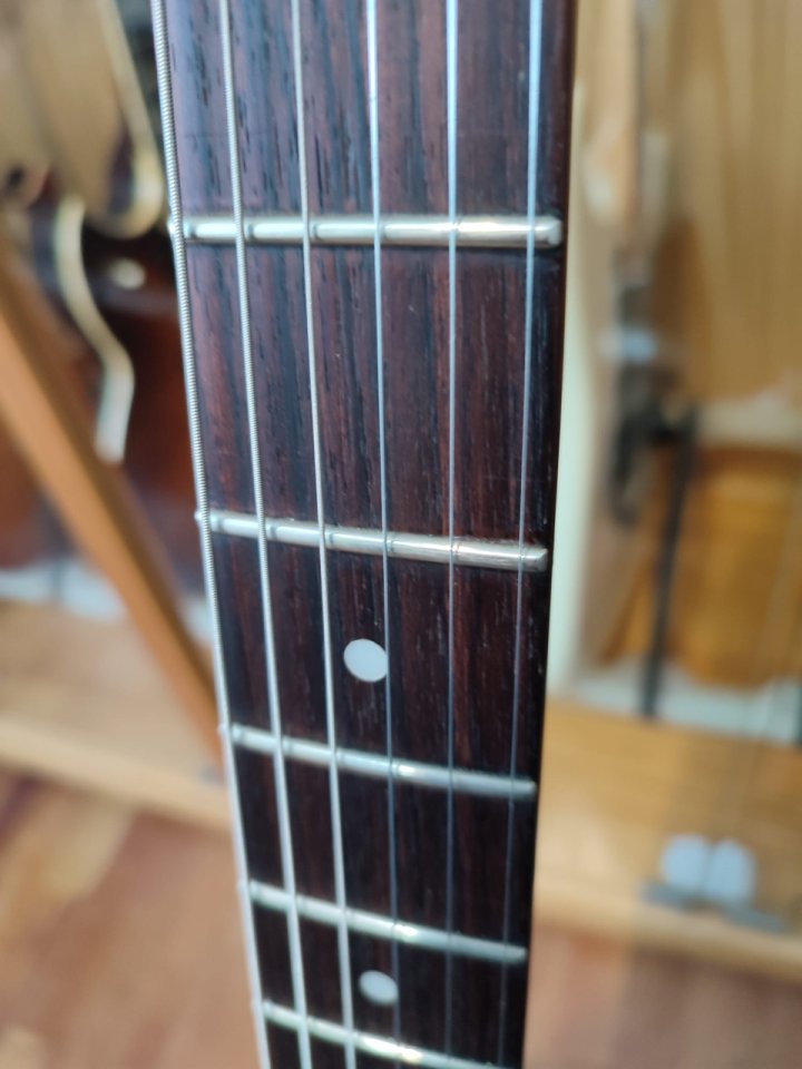 Ibanez Ergodine EDR 170 EX