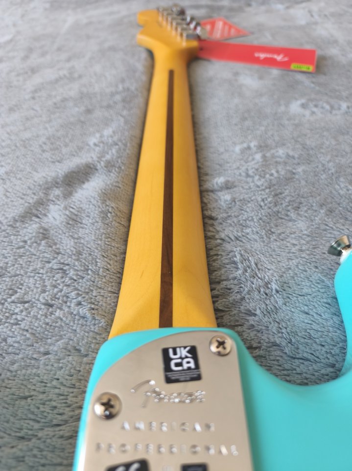 Fender Stratocaster American Professional II – LTD Sea Foam Green (USA)