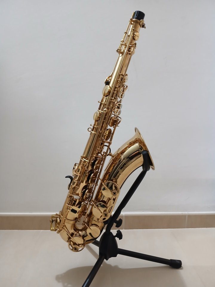 Saxofon Tenor Selmer Super Action 80 Serie II de segunda mano · Foto 1 de 10 · Tarragona · 4000 €