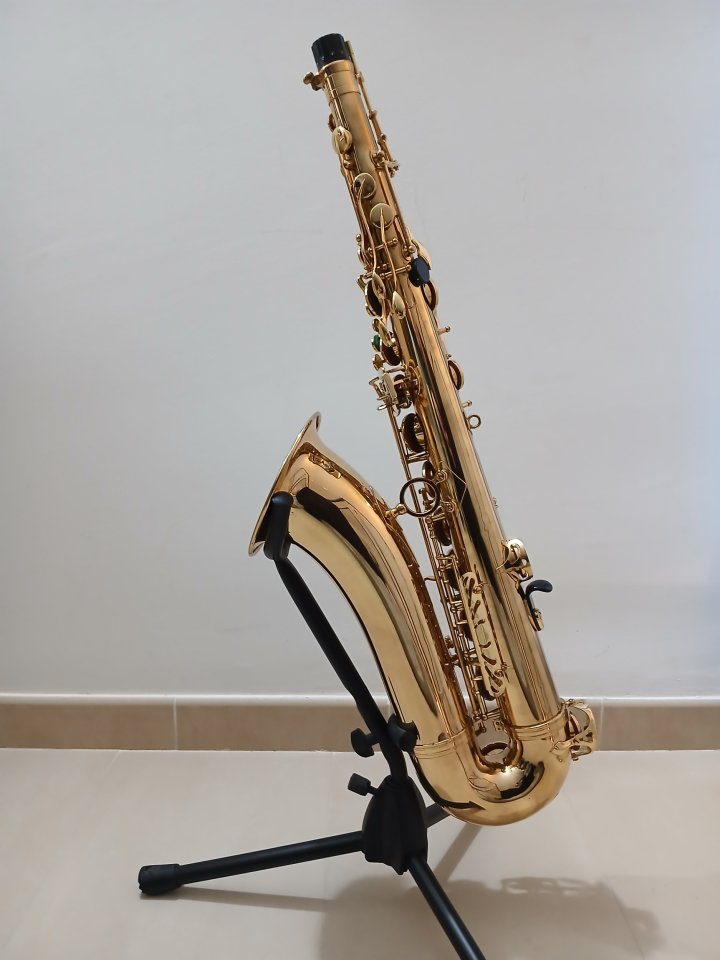 Saxofon Tenor Selmer Super Action 80 Serie II de segunda mano · Foto 2 de 10 · Tarragona · 4000 €