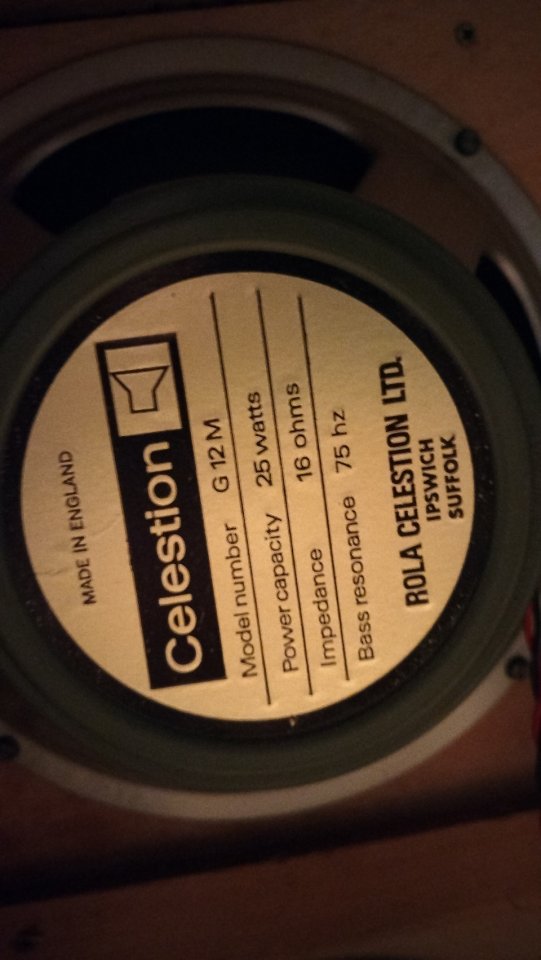 Marshall JCM800 ZW + pantalla 70's