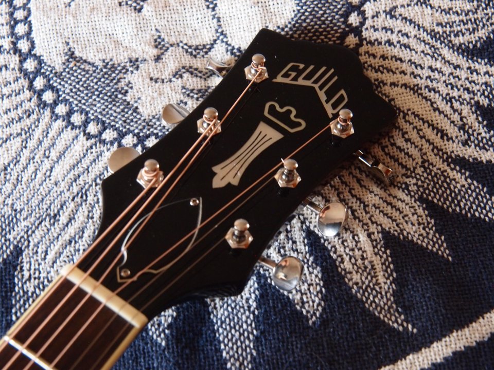 Guild Starfire IV Flamed Maple