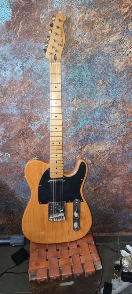 Cambio harley benton te 52 por una guitarra doble humbucker