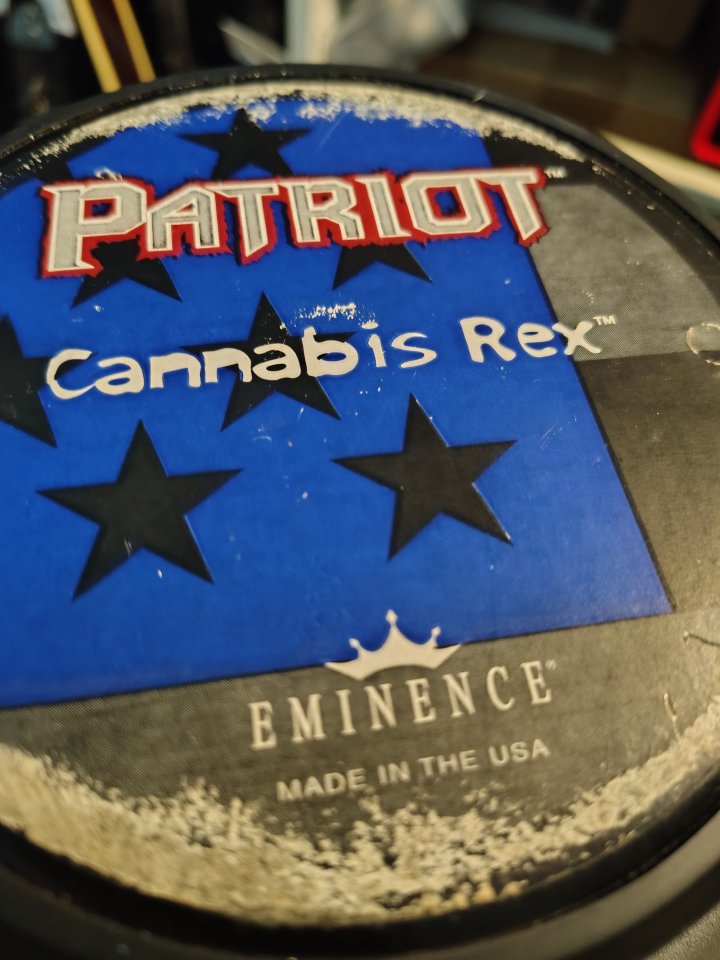 Altavoz Eminence 12 pulgadas