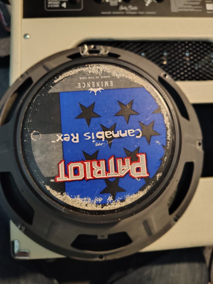 Altavoz Eminence 12 pulgadas