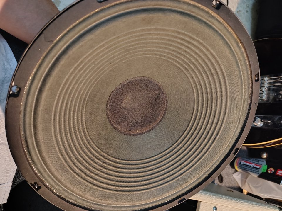 Altavoz Eminence 12 pulgadas