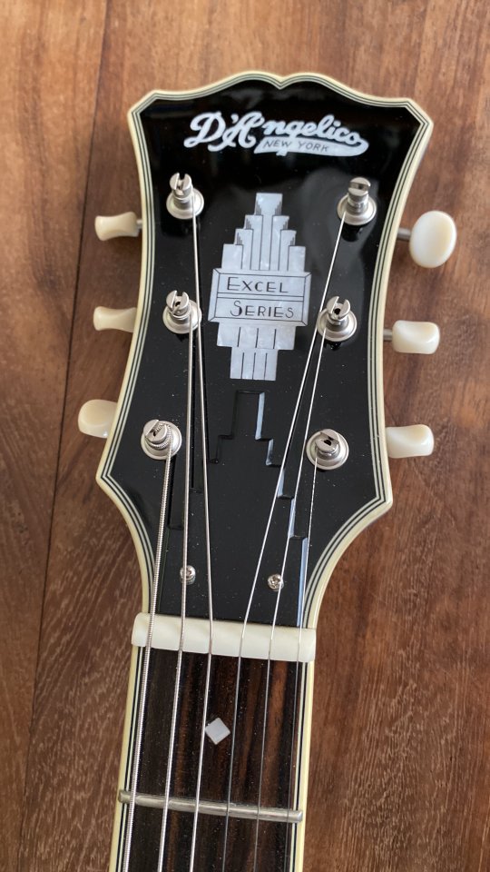 D'Angelico Excel Tour