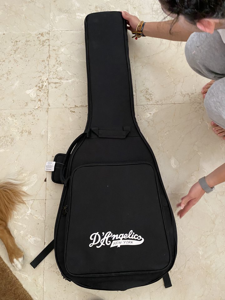 D'Angelico Excel Tour