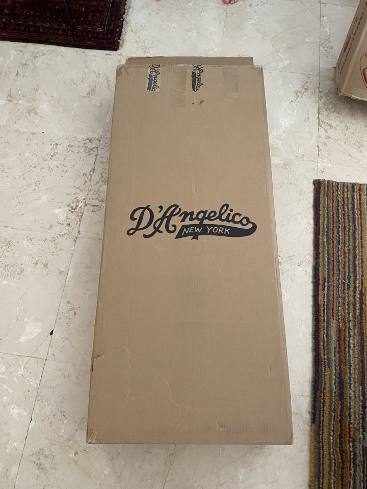 D'Angelico Excel Tour