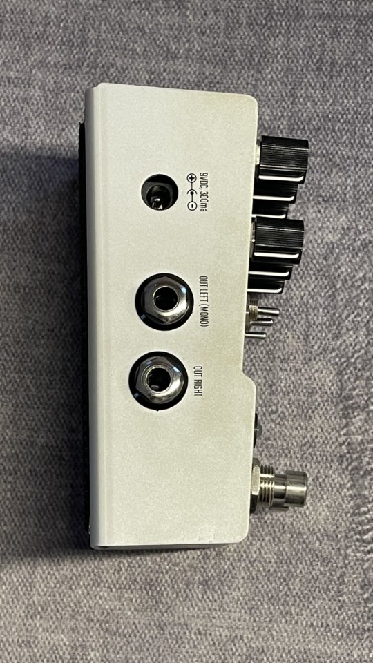 Walrus audio MAKO D1 mkI Delay