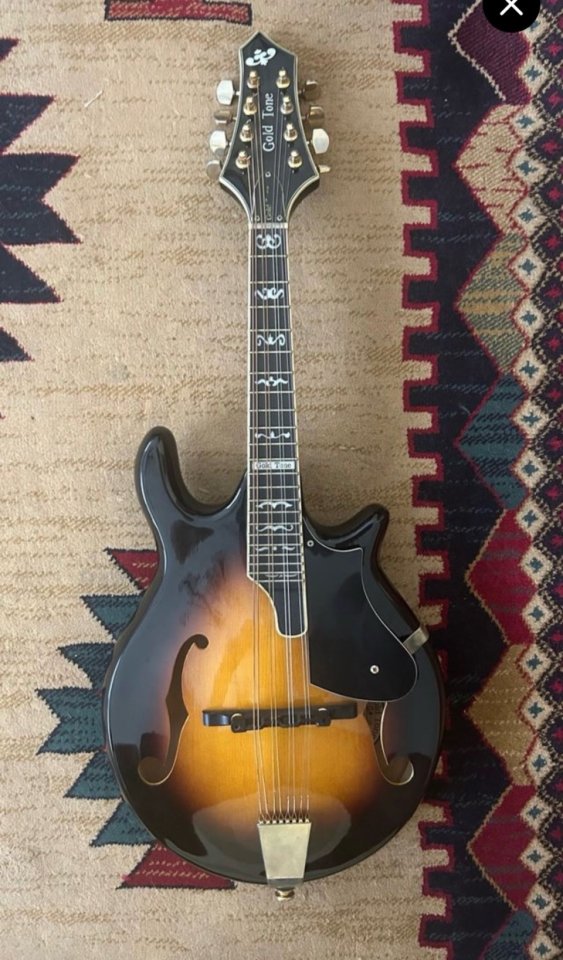 Mandolina Goldtone GM110