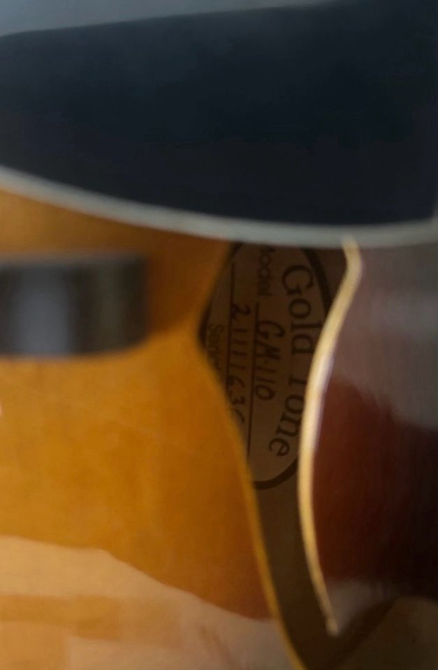 Mandolina Goldtone GM110