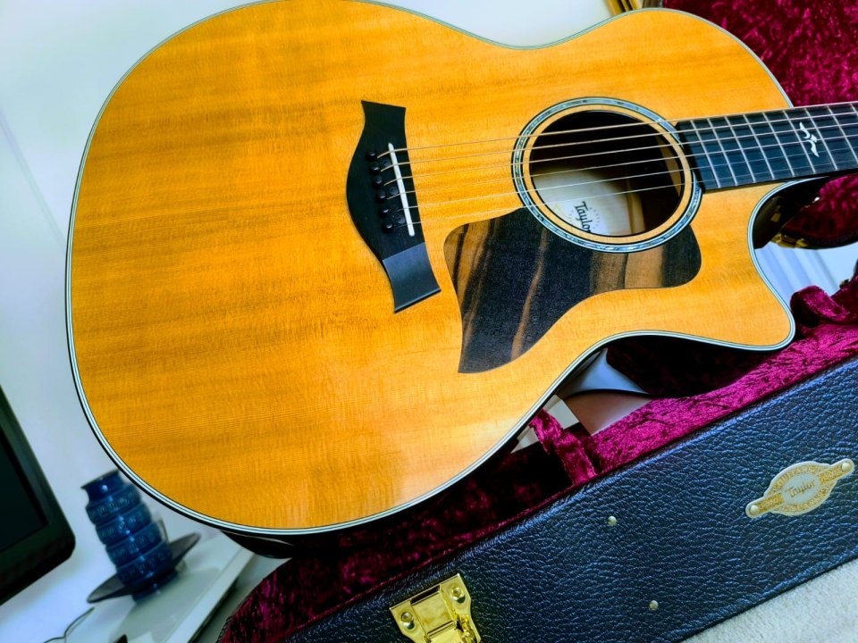 TAYLOR 614ce V-Class de segunda mano · Foto 3 de 10 · Sevilla · 2700 €