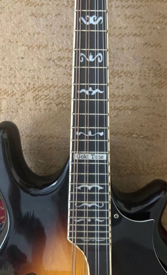 Mandolina Goldtone GM110