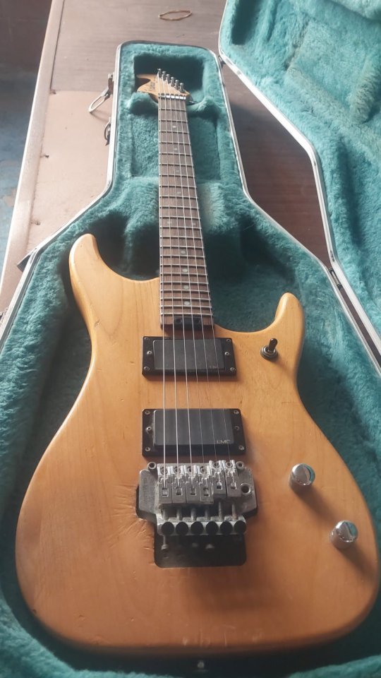 Washburn N2 “Early Series” de segunda mano · Foto 7 de 9 · Valencia · 350 €