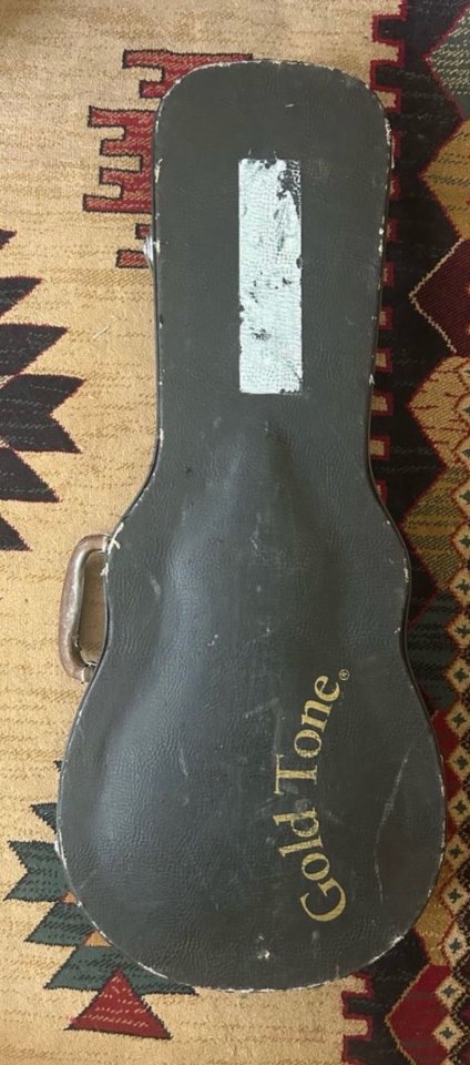 Mandolina Goldtone GM110