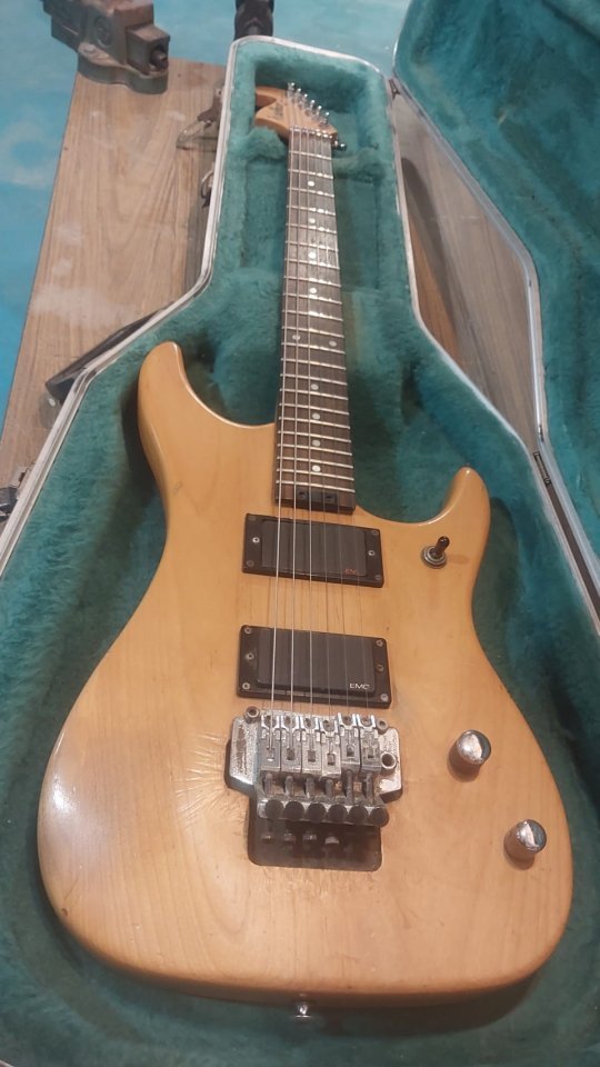 Washburn N2 “Early Series” de segunda mano · Foto 9 de 9 · Valencia · 350 €