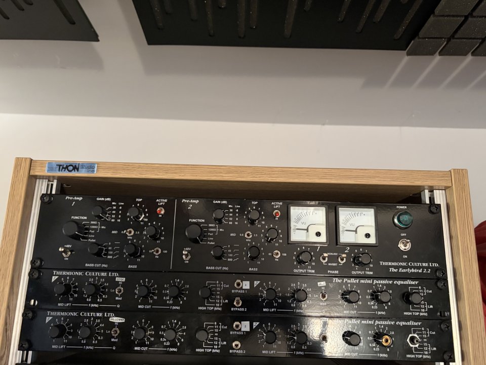 Thermionic Culture The Earlybird 2.2 Preamplificador y Ecualizador a Válvulas de segunda mano · Foto 1 de 2 · Málaga · 3100 €