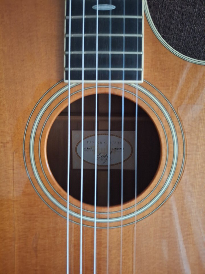 Taylor 414ce-N (nylon) 14 trastes.