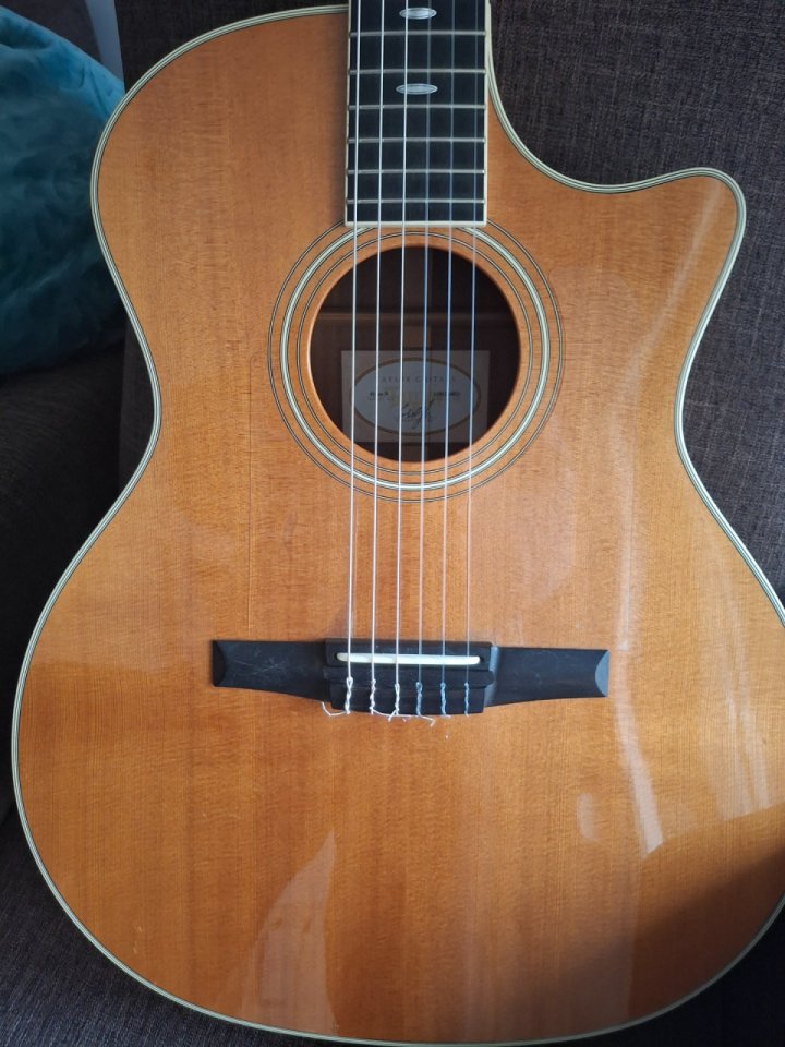 Taylor 414ce-N (nylon) 14 trastes.
