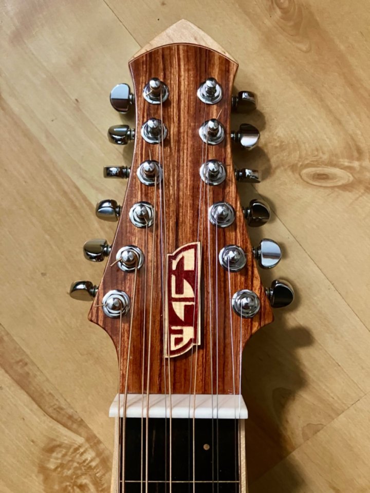 Weissenborn 12 cuerdas nura guitars + estuche