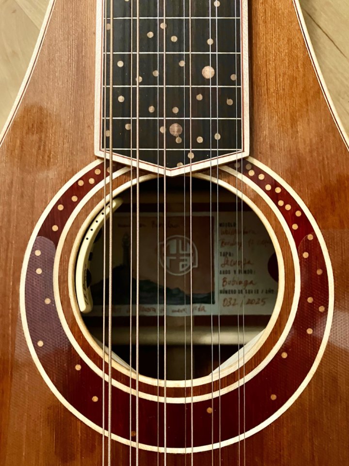 Weissenborn 12 cuerdas nura guitars + estuche