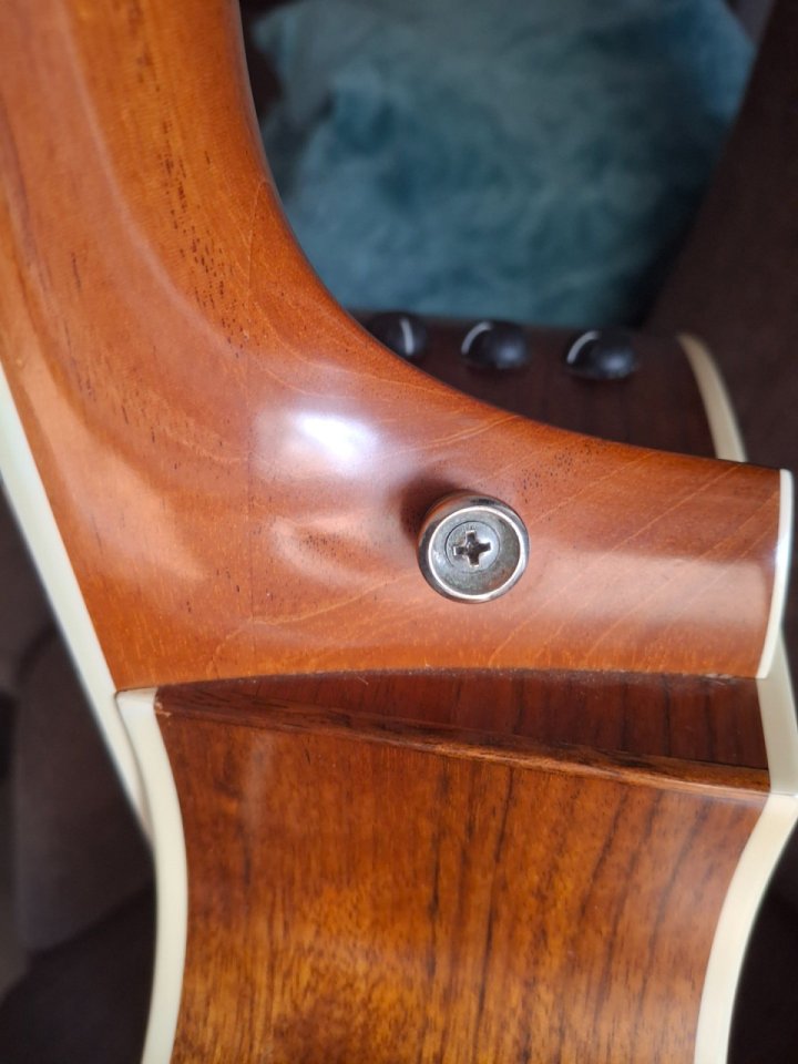 Taylor 414ce-N (nylon) 14 trastes.