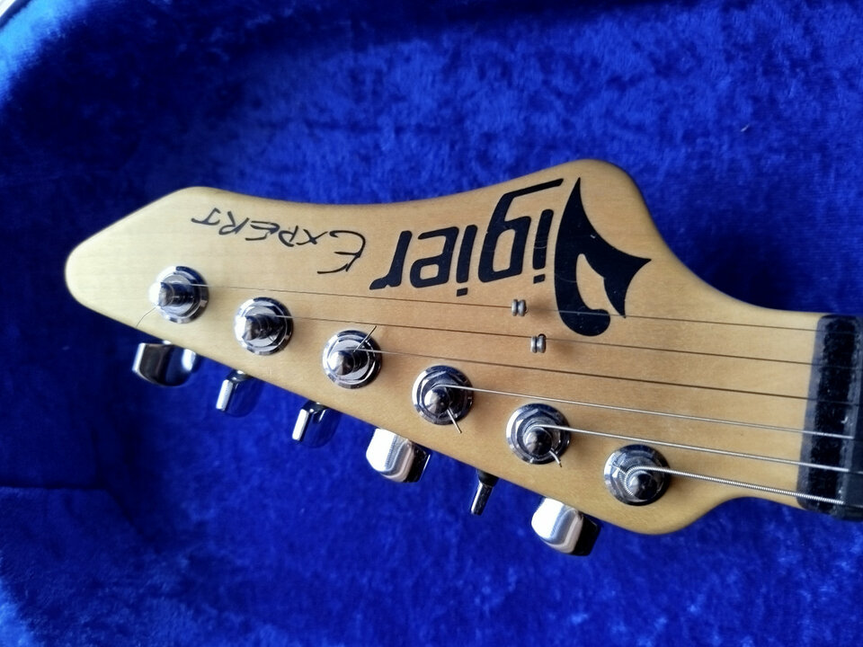VIGIER expert CAMBIO