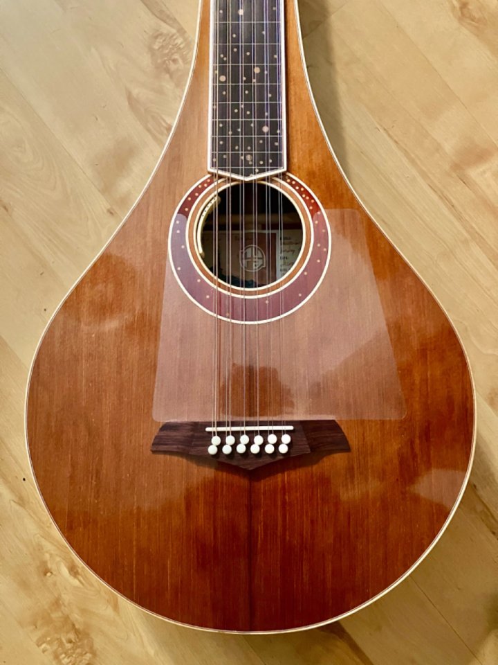 Weissenborn 12 cuerdas nura guitars + estuche