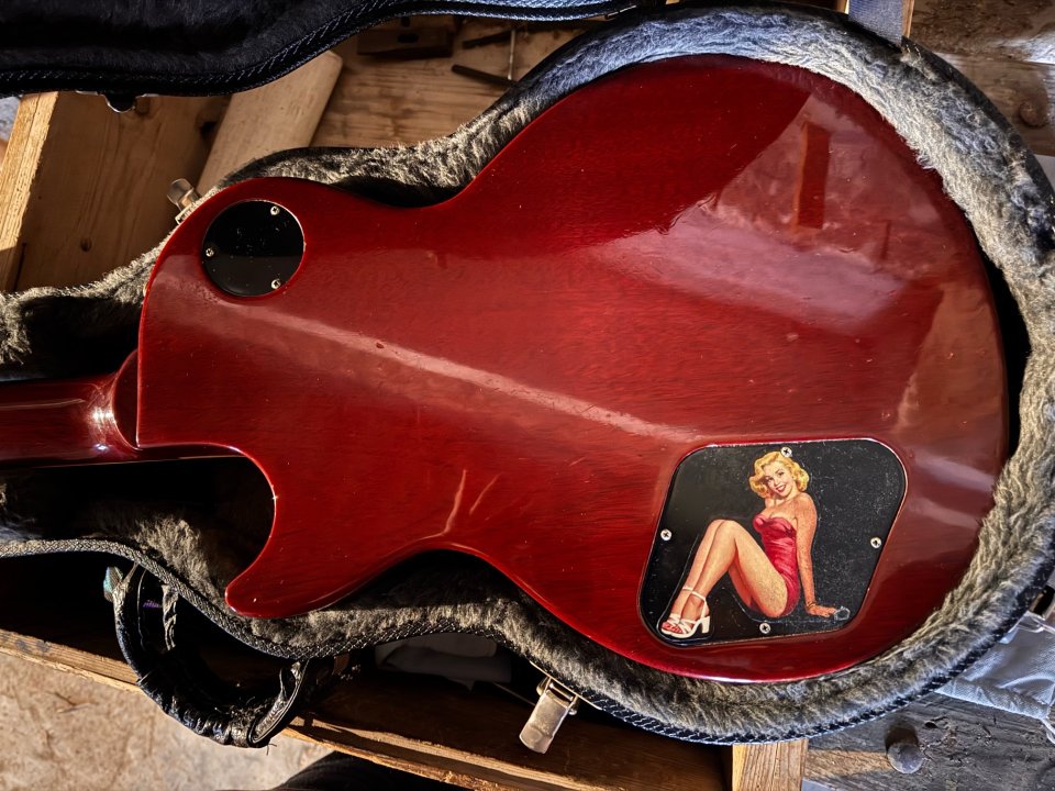 Gibson Les Paul Standard Premium Plus AAA