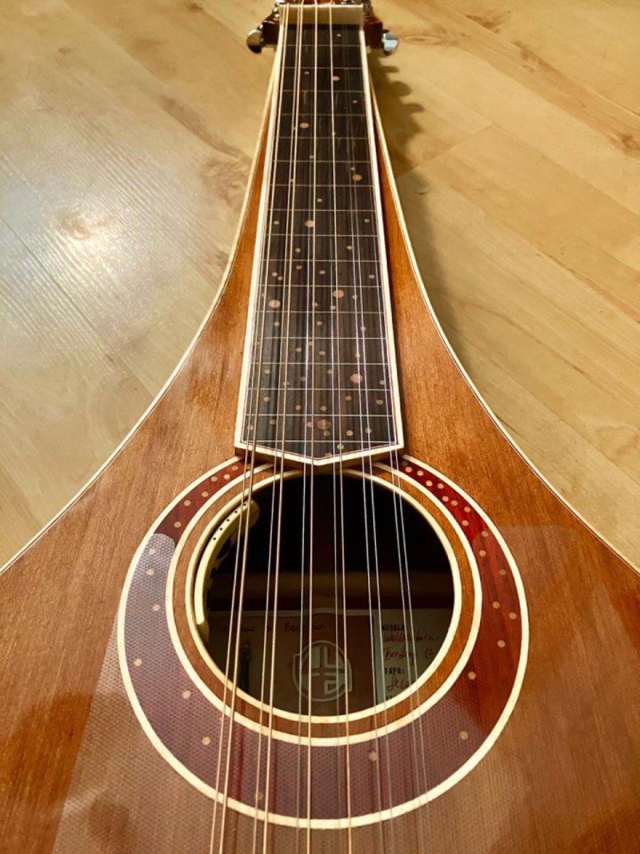 Weissenborn 12 cuerdas nura guitars + estuche